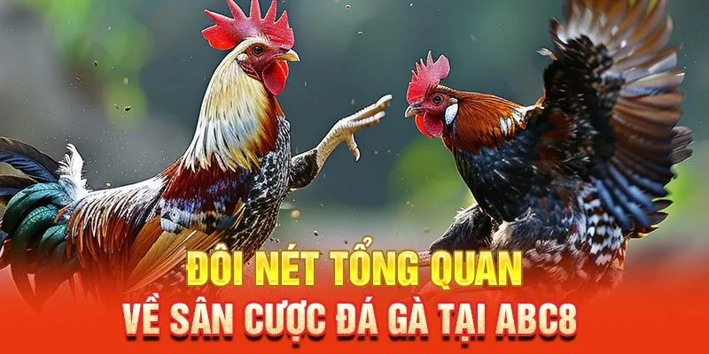 Những sân chơi đá gà Abc8 cho bạn lựa chọn