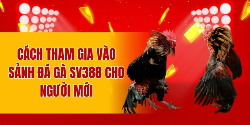 Những loại hình đấu trường tại nhà cái