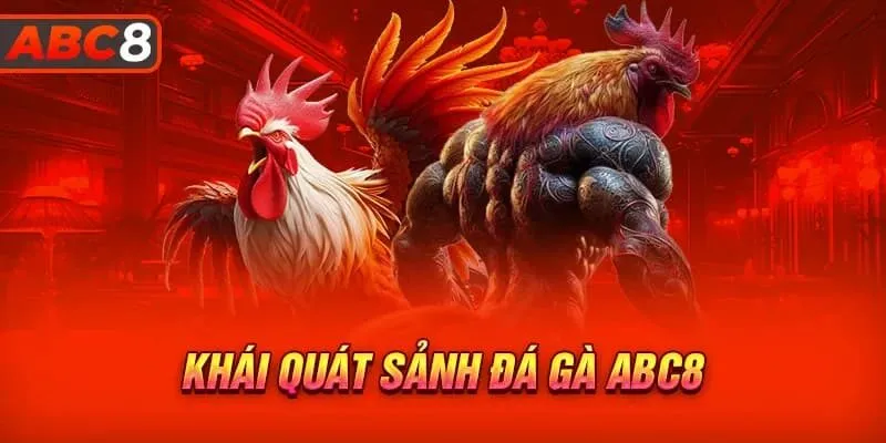 Những ưu điểm nổi bật của sảnh chơi tạo nên sự thu hút đá gà abc8