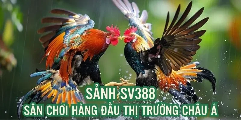 Những lý do nên lựa chọn tham gia tại nhà cái