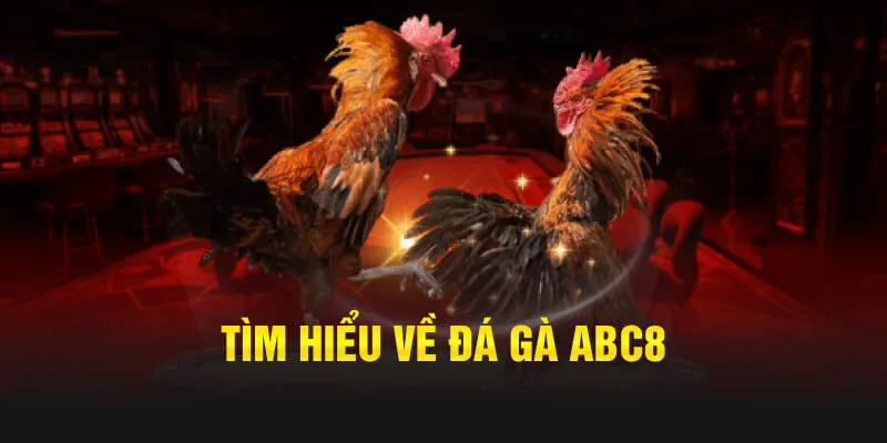 Cách tham gia chi tiết vào bộ môn tại nhà cái
