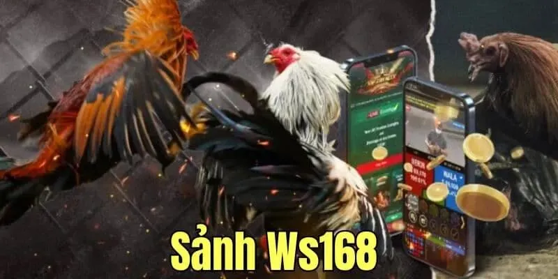 Một số điều lưu ý đáng quan tâm