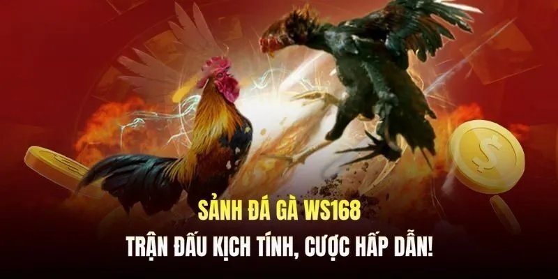 Thông tin sơ lược tổng quan về sảnh WS168